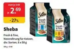 Das Futterhaus Sheba Angebot