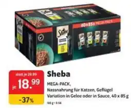 Das Futterhaus Sheba Angebot