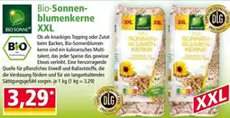 Norma Bio sonnen blumenkerne xxl Angebot