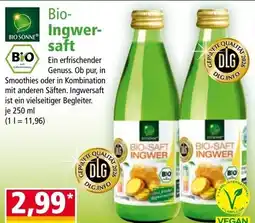 Norma Bio Ingwer saft Angebot