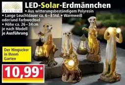 Norma Led solar erdmännchen Angebot