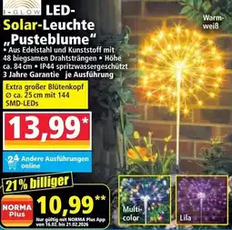 Norma Led solar leuchte pusteblume Angebot