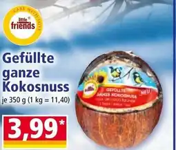 Norma Gefüllte ganze kokosnuss Angebot