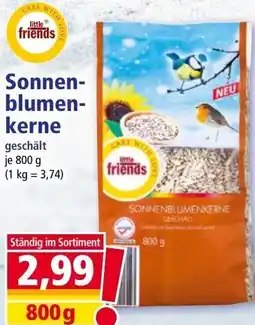 Norma Sonnen blumen kerne Angebot