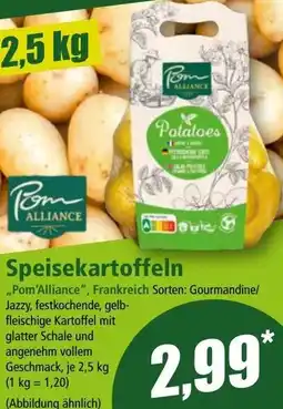 Norma Speisekartoffeln Angebot
