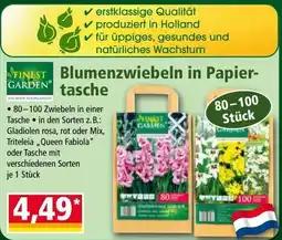 Norma Blumenzwiebeln in Papiertasche Angebot