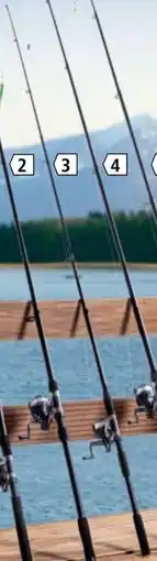 Norma Raubfisch Angelset Angebot