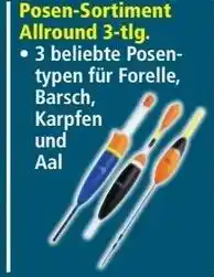 Norma Posen-Sortiment Allround 3 tlg Angebot