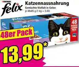 Norma Katzennassnahrung Angebot