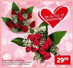 Interspar Rosenstrauß Charming Angebot
