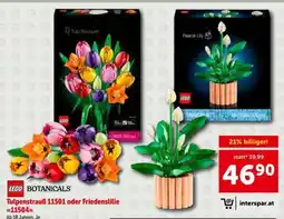 Interspar Tulpenstrauß 11501 oder Friedenslilie 11504 Angebot