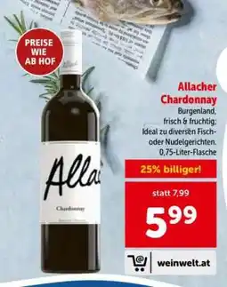 Interspar Allacher Chardonnay Angebot
