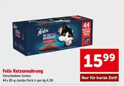 Interspar Felix Katzennahrung Angebot