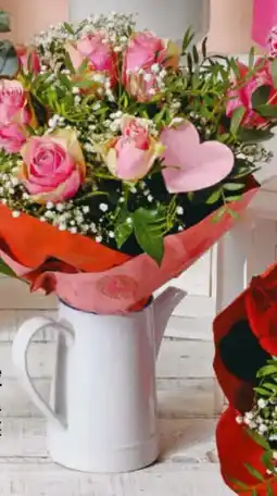 Billa Orchidee Magic Colour Angebot