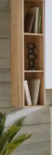 Mömax Wandregal Wide Angebot