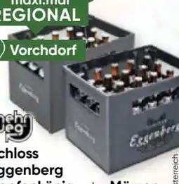 Maximarkt Schloss Eggenberg Hopfenkönig Angebot