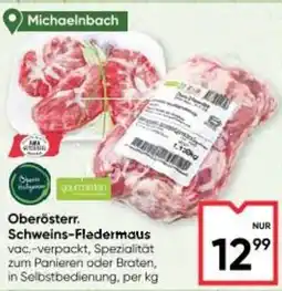 Maximarkt Schweins-Fledermaus Angebot