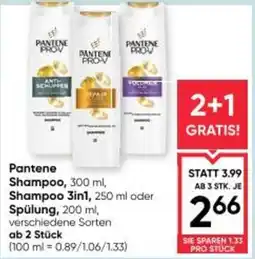 Maximarkt Shampoo Angebot