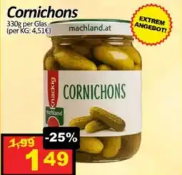 Wurstico Cornichons Angebot