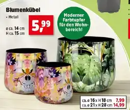 Thomas Philipps Blumenkübel Angebot