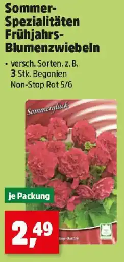 Thomas Philipps Sommer Spezialitäten Frühjahrs Blumenzwiebeln Angebot
