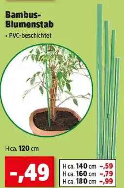 Thomas Philipps Bambus Blumenstab Angebot