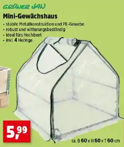 Thomas Philipps Mini Gewächshaus Angebot