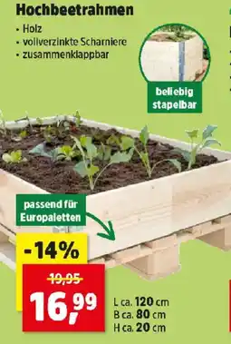 Thomas Philipps Hochbeetrahmen Angebot