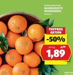 Hofer BAUMGEREIFTE MANDARINEN Angebot