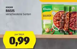 Hofer KNORR BASIS Angebot