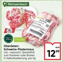 Maximarkt Oberösterr. Schweins-Fledermaus Angebot