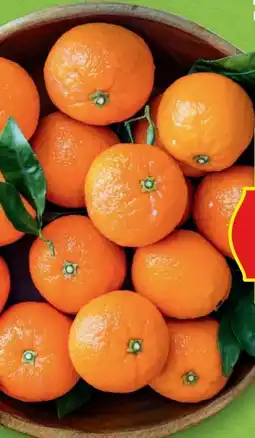 Hofer Hofer Marktplatz Mandarinen Angebot