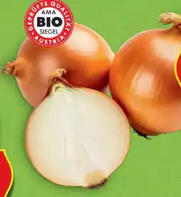 Hofer Hofer Marktplatz Bio Zwiebeln Angebot