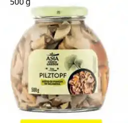 Hofer Asia Green Garden Pilztopf Angebot