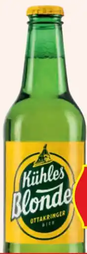 Hofer Ottakringer Kühles Blondes Märzen Angebot