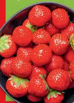 Hofer Hofer Marktplatz Erdbeeren Angebot