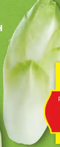 Hofer Hofer Marktplatz Chicoree Angebot