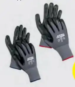 Hofer Topcraft Damen-Arbeitshandschuhe Angebot