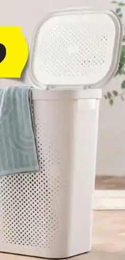 Hofer Home Creation Wäschebox Angebot