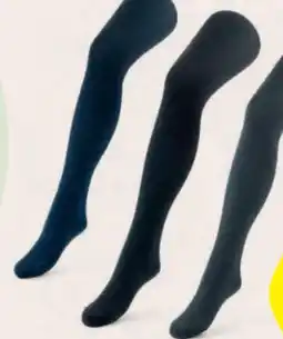 Hofer Up 2 Fashion Damen Thermo Strumpfhose Angebot