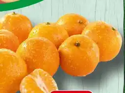 Spar Mandarinen Angebot