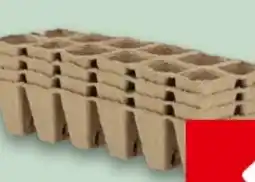 Interspar Anzucht Anzuchtplatte Angebot