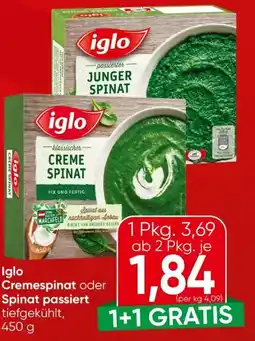 Eurospar Iglo Cremespinat Angebot