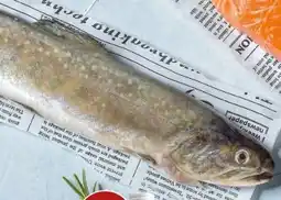 Interspar Spar Natur pur Bio-Bachsaibling Angebot