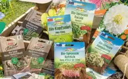 Interspar SPAR wie früher Bio-Saatgut Angebot