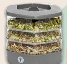 Interspar Sprossen Schale Mungo Angebot