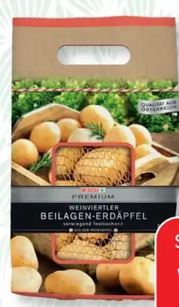 SPAR Gourmet Spar Premium Beilagen-Kartoffeln Angebot