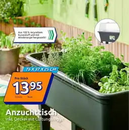 Action Anzuchttisch Angebot