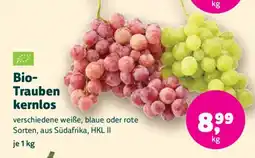 Denn's Biomarkt Bio- Trauben kernlos Angebot