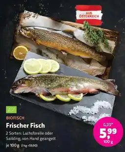 Denn's Biomarkt BIOFISCH Frischer Fisch Angebot